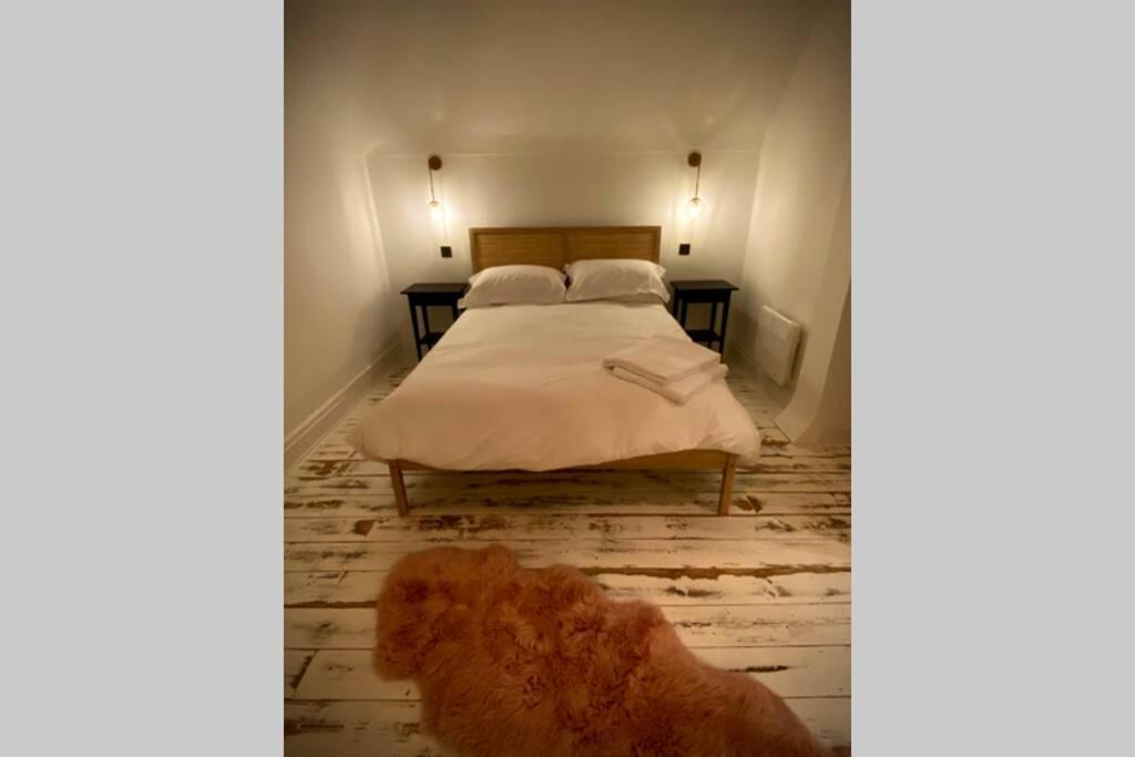 Cleveland House - Perfect For Beaches And Town. Bournemouth Dış mekan fotoğraf